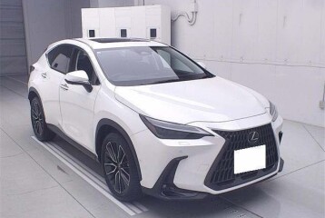 Lexus NX 450h+ Version L, 2023
