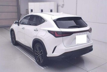 Lexus NX 450h+ Version L, 2023