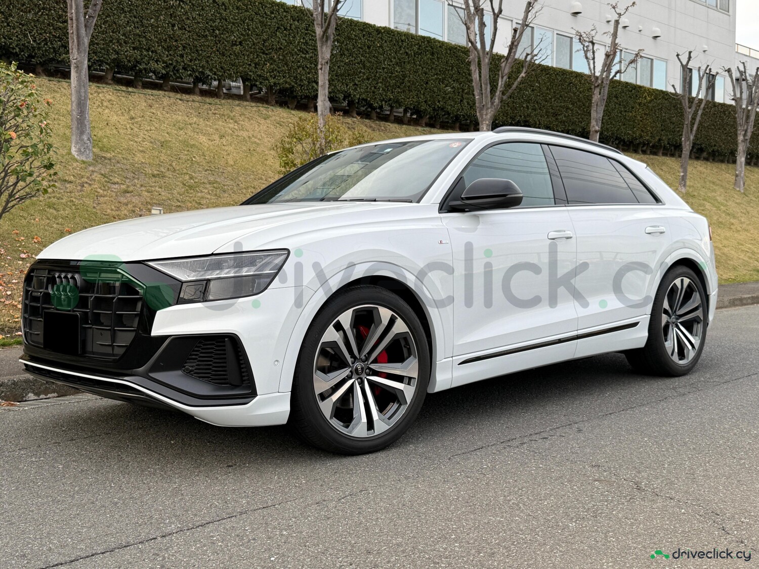 Audi Q8 55 TFSI Quattro